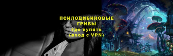 ГАЛЛЮЦИНОГЕННЫЕ ГРИБЫ Новокубанск